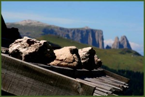 seiser_alm_sommer_13