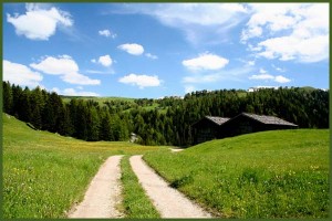 seiser_alm_sommer_14