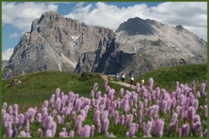 seiser_alm_sommer_8